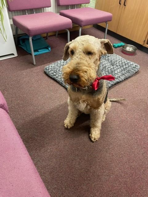 Robins are the winners with an amazing 4327 points!