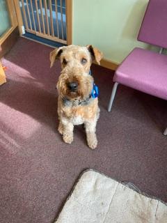 Wrens again with 2326!